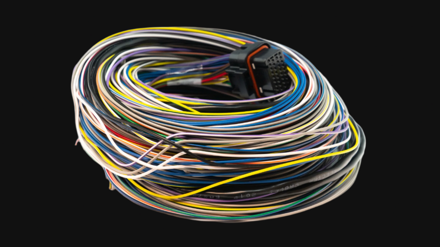 Link B Loom Long 5m ECU wiring harness