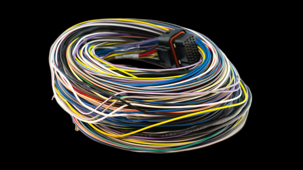 Link B Loom Long 5m ECU wiring harness